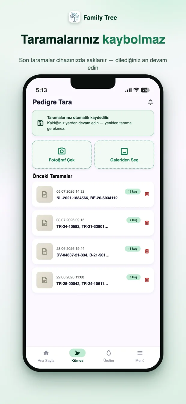 Tarama geçmişi