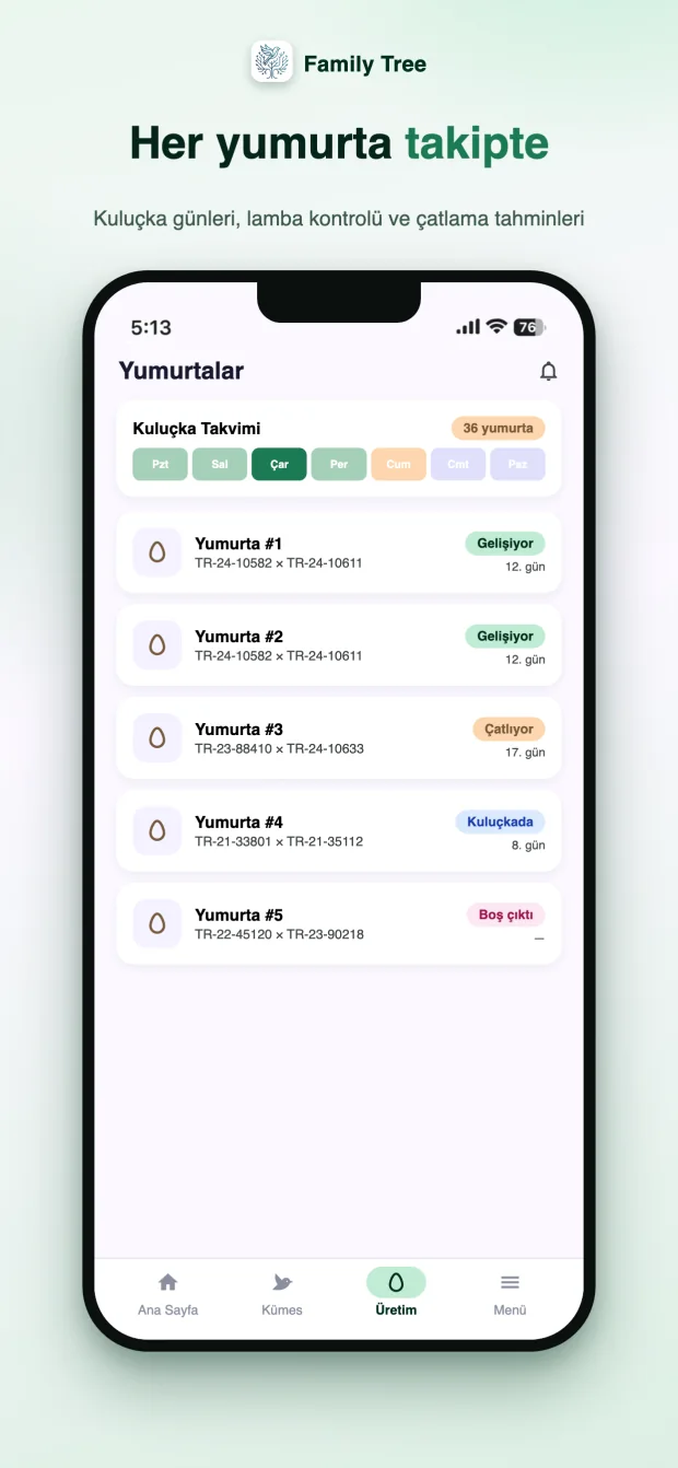 Yumurta takibi